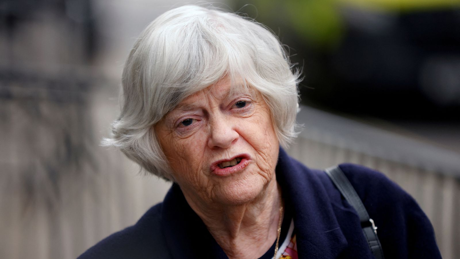 Ann Widdecombe Was Struck 21 Times With Hammer, Prosecutors Tell Court