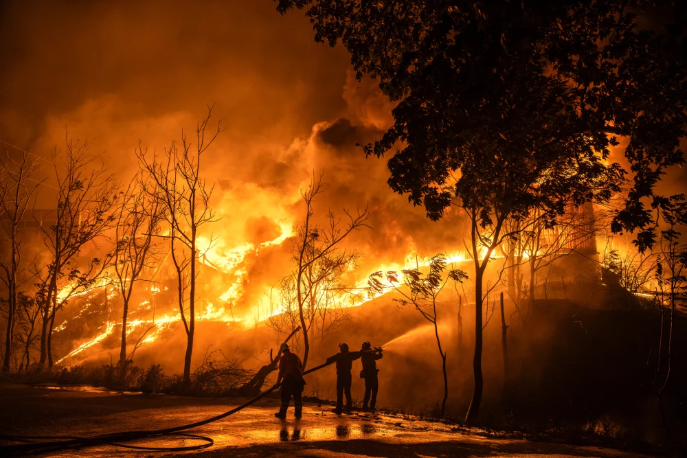 Wild Fires